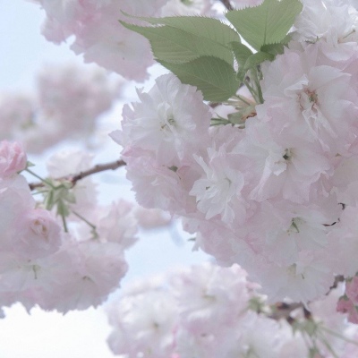 兽设动态姿势绘画参考福瑞群